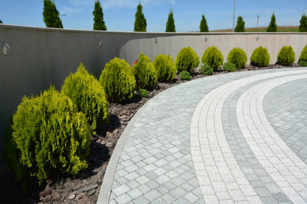 Best Driveway Paving Contractor  in Central City, PA